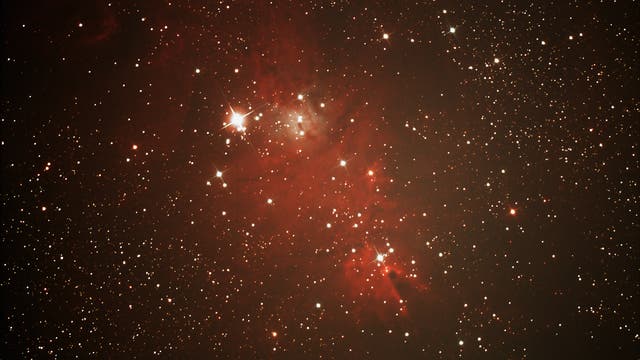 Weihnachtsbaumsternhaufen NGC 2264 mit Konusnebel im Sternbild Einhorn (Monoceros)