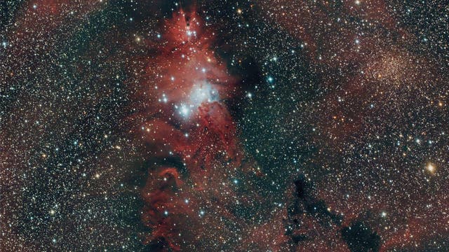 NGC 2264 im Einhorn