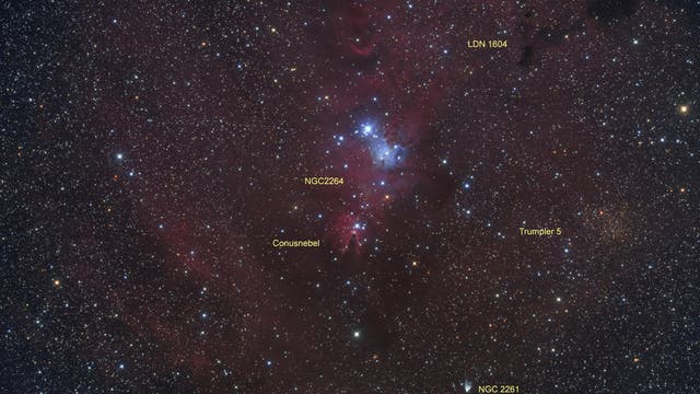 NGC 2264  (Objekte)