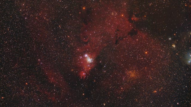 Konusnebel NGC 2264 im Widefield