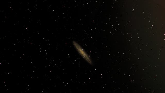 NGC253