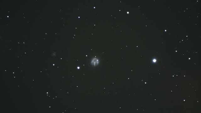 Bärentatzengalaxie/Bear's Paw Galaxy (NGC 2537)