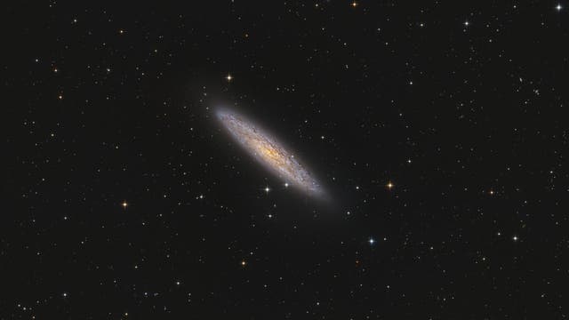 NGC 253 Sculptor-Galaxie