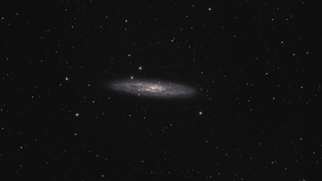 NGC 253 