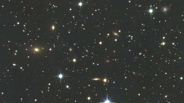NGC 2563 - Galaxienhaufen im Sternbild Krebs (Cancer Cluster)