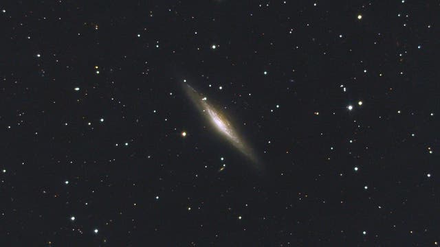 NGC 2683 mit 8-Zoll-Newton