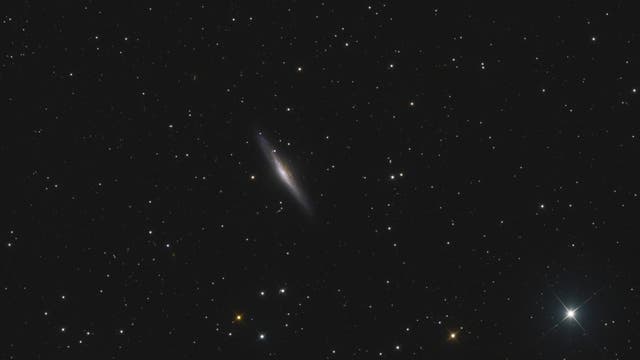 NGC 2683 (UFO-Galaxie)