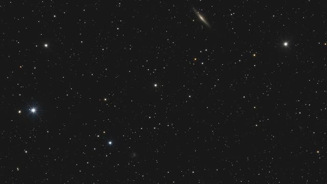 NGC 2683 und IC 2421