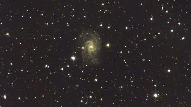 NGC 2835 in Hydra
