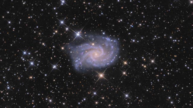 NGC 2825 in der Hydra