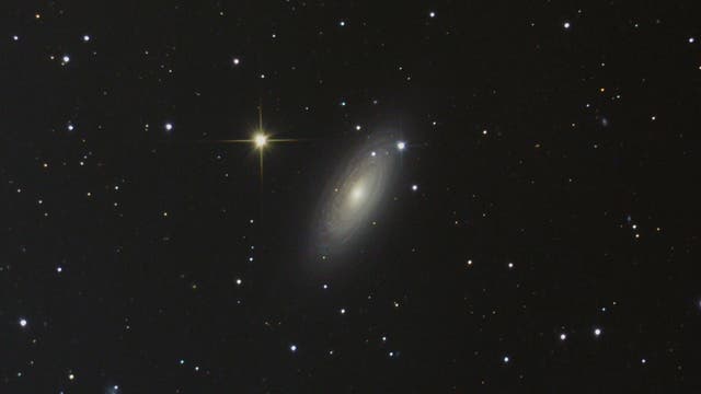 NGC 2841 in Ursa Major