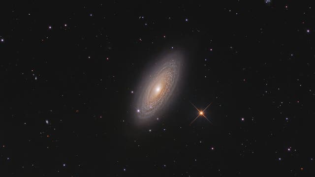 NGC 2841, die Tigeraugen-Galaxie
