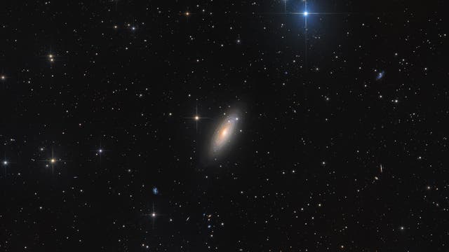 NGC 2841 Tigeraugen-Galaxie