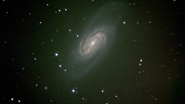 NGC 2903 mit 1993SD5 und 1999WW3