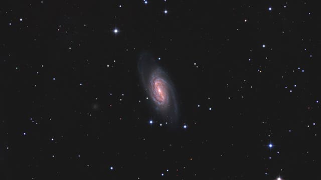 NGC 2903, Balken-Spiralgalaxie im Sternbild Löwe