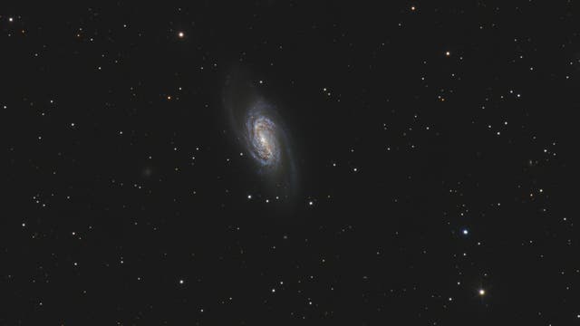 NGC 2903