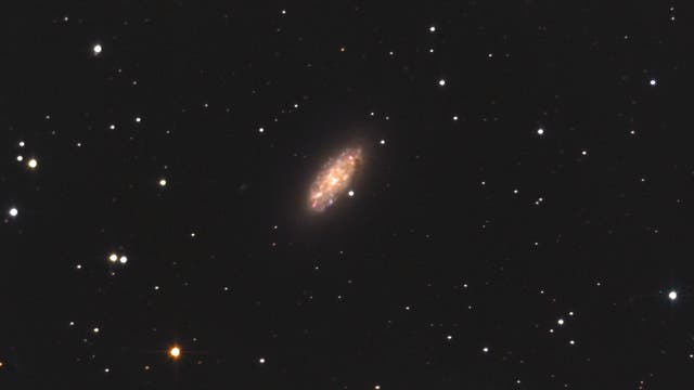 NGC 2976 - ein interessantes Mitglied der M81-Galaxiengruppe