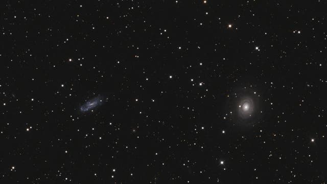 NGC 2985 und NGC 3027