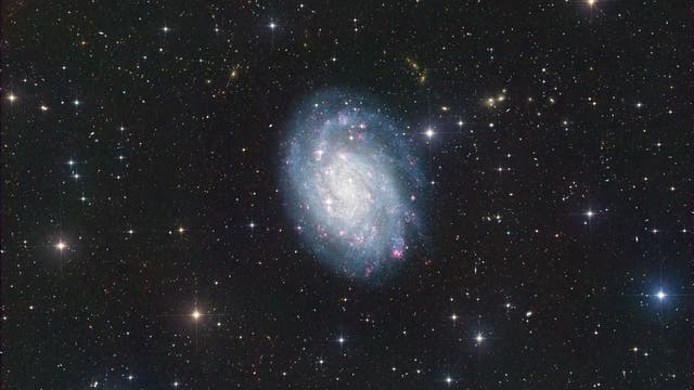 NGC 300
