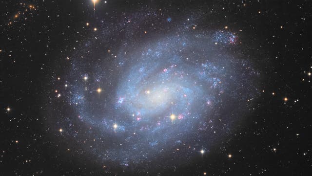 Windradgalaxie im Bildhauer - NGC 300