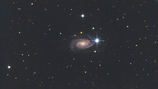 NGC 3338 in Leo