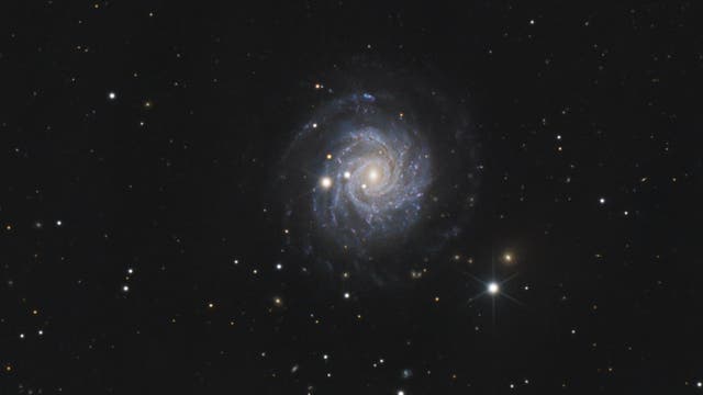 NGC 3344 (Ausschnitt)
