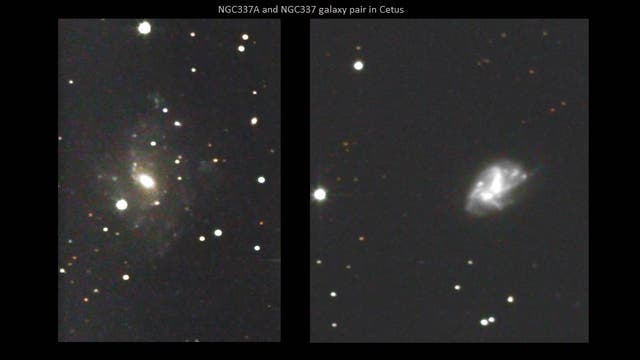 NGC 337/337A – Ein interessantes Galaxienpaar im Walfisch (2)