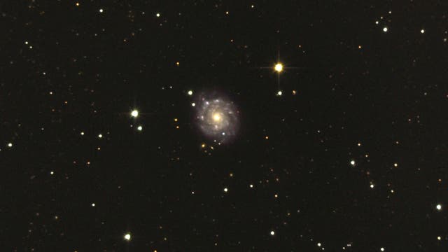 NGC 3423  Face-on galaxy in Sextans