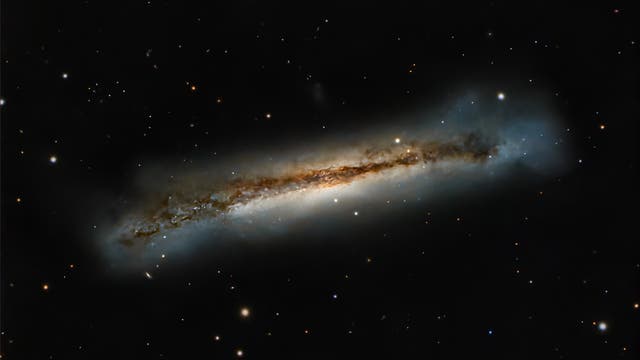 NGC3628: »Hamburger galaxy«