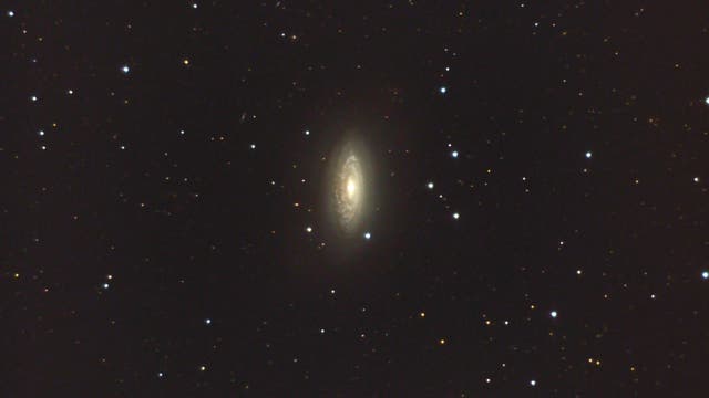 vernachlässigt: NGC 3675 Seyfert-Galaxie in Ursa Major