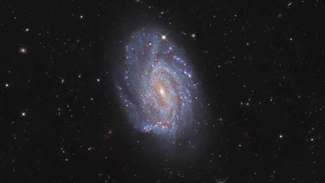NGC 3726 im Großen Bären