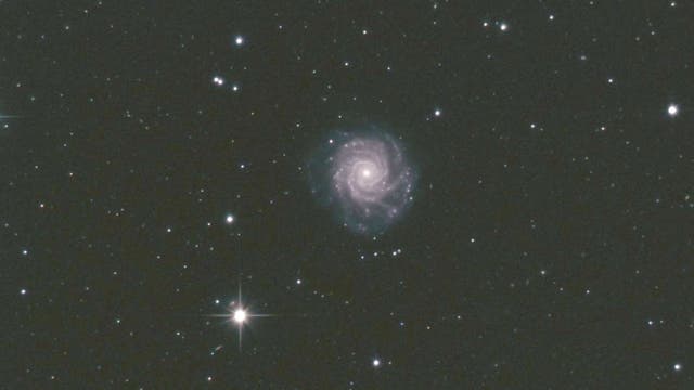 NGC 3938 in Ursa Major