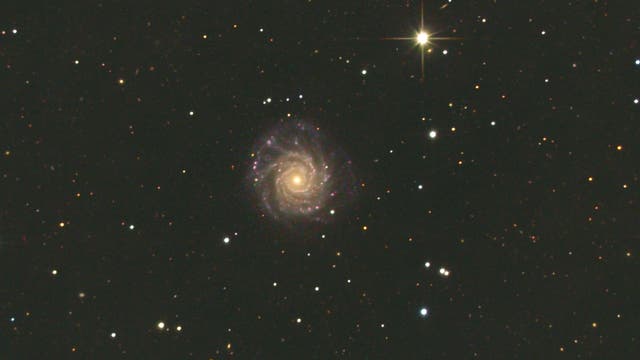 NGC3938 in Ursa Maior