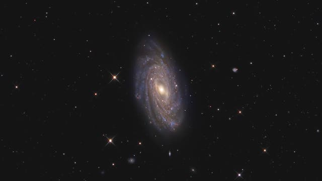 Galaxie NGC 3953