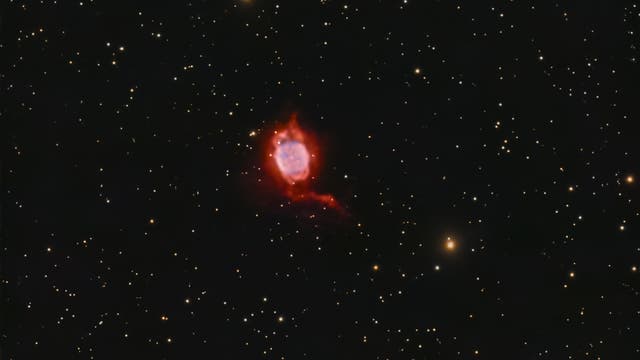 Fliegen-Nebel - NGC 40