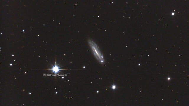 NGC 4178 – Balkenspirale mit einem AGN in der Jungfrau