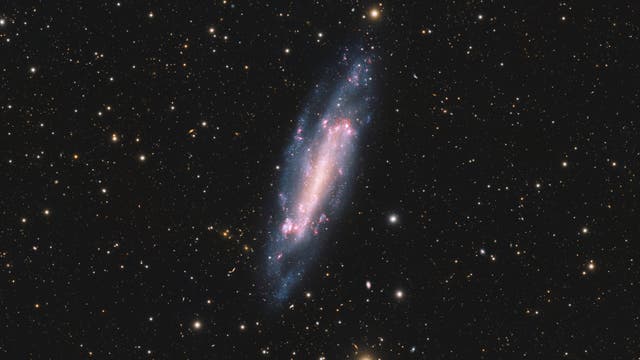NGC 4236 – Balkenspiralgalaxie in der M81-Gruppe