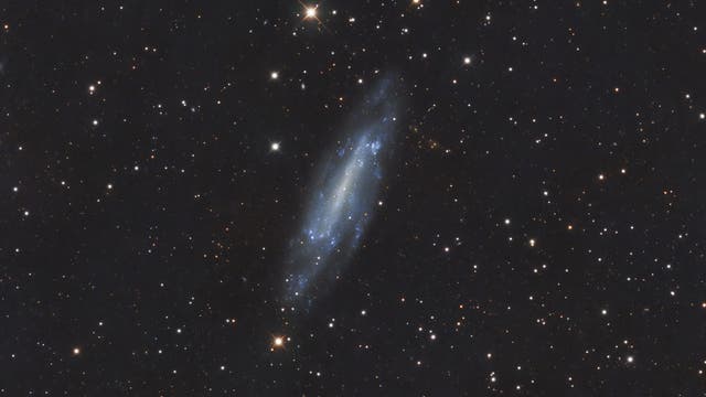 NGC 4236 (hellere Version)