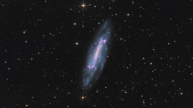 NGC 4236