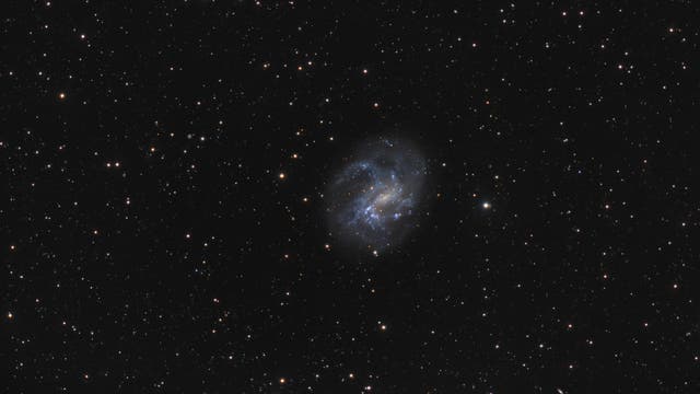 Die Galaxie NGC 4395