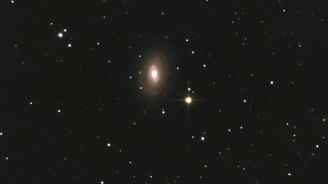 Galaxie NGC 4450 im Haar der Berenike