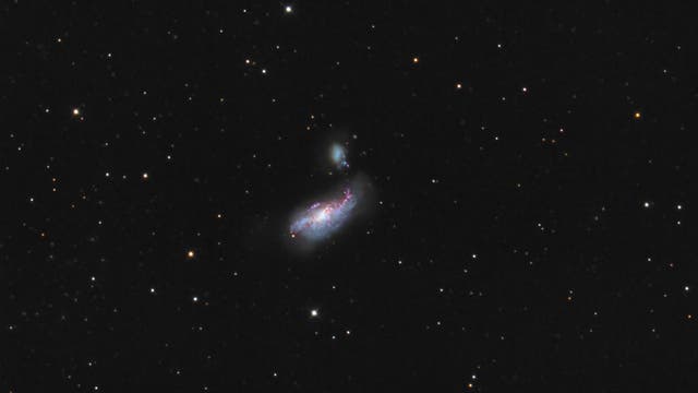 NGC 4490 - NGC 4485