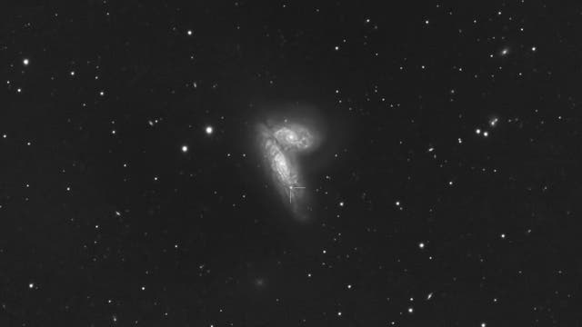 SN 2020fqv in NGC 4568