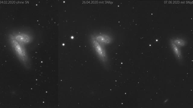 NGC 4568 mit SN 2020fqv und SN 2023ijd 