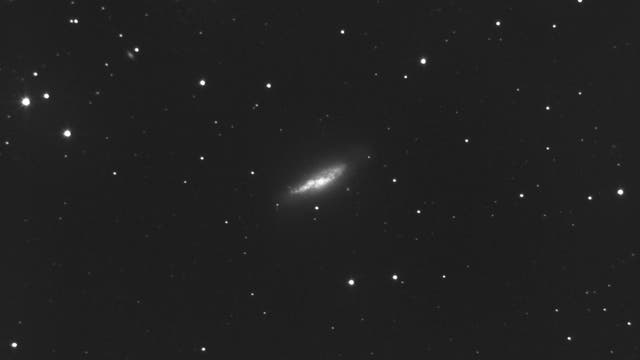 Frankensteins Galaxie NGC 4605 in Ursa Maior