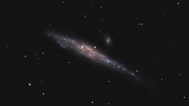 NGC 4631 - Walgalaxie