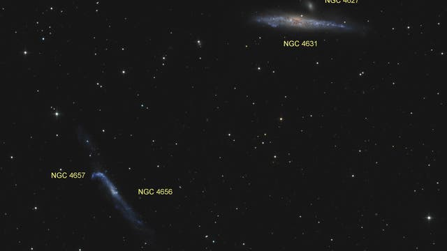 NGC 4631 und NGC 4656 (Objekte)