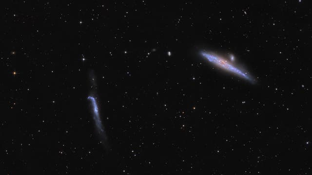 Walgalaxie NGC 4631 und NGC 4656