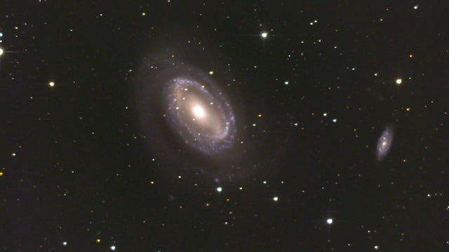 NGC 4725 - eine einarmige Seyfert-Galaxie mit innerer Ringstruktur im Haar der Berenike