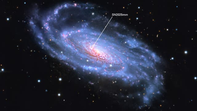 NGC 5033 mit Supernova SN2025mvn - Ausschnitt